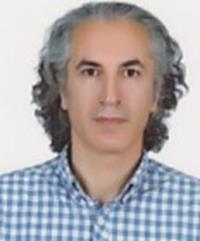 دکتر مجتبی مرادی شهربابک