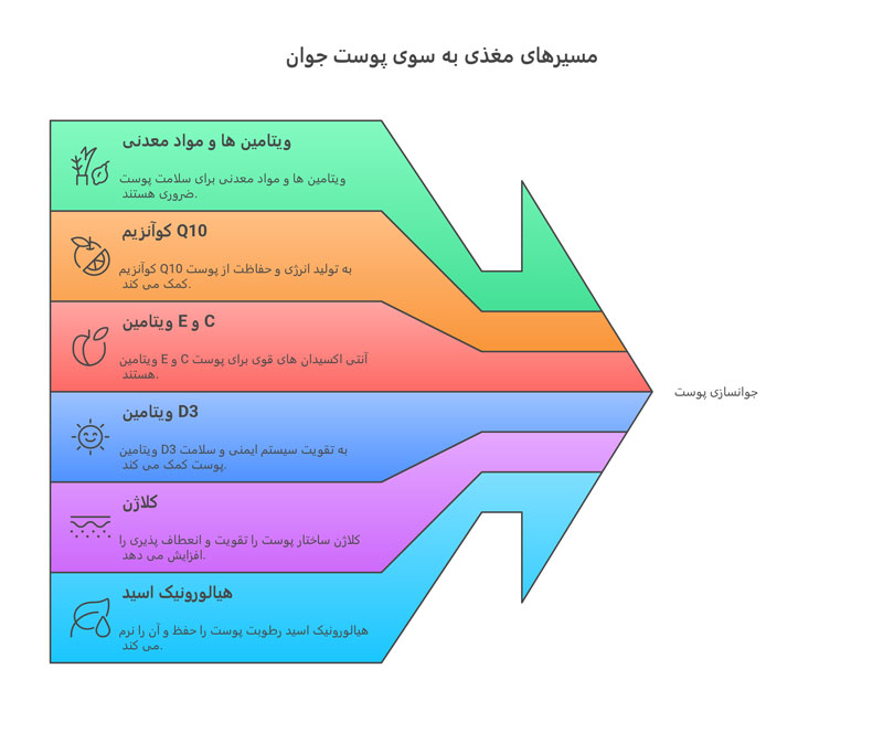 راه های جلوگیری از پیری زودرس